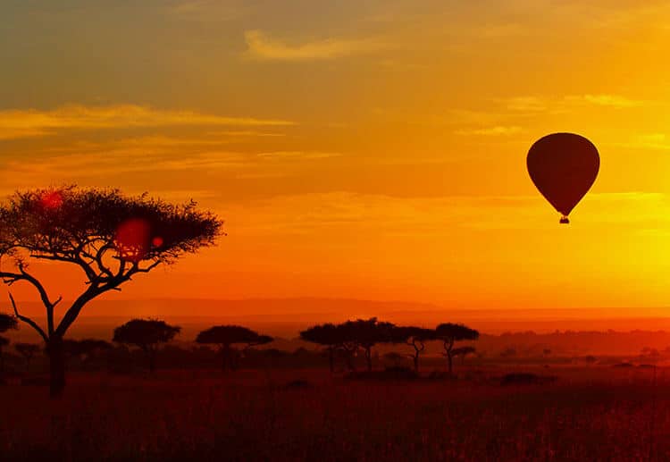Hot Air Balloon Safaris
