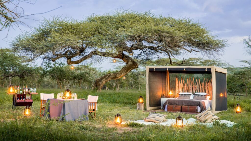 Mwiba Lodge 9