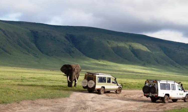 Ngorongoro Crater Safaris