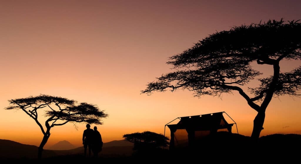 Serengeti at Night