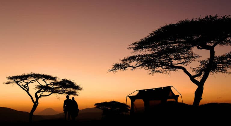 Serengeti at Night: Nocturnal Animals and Night Drive Guide
