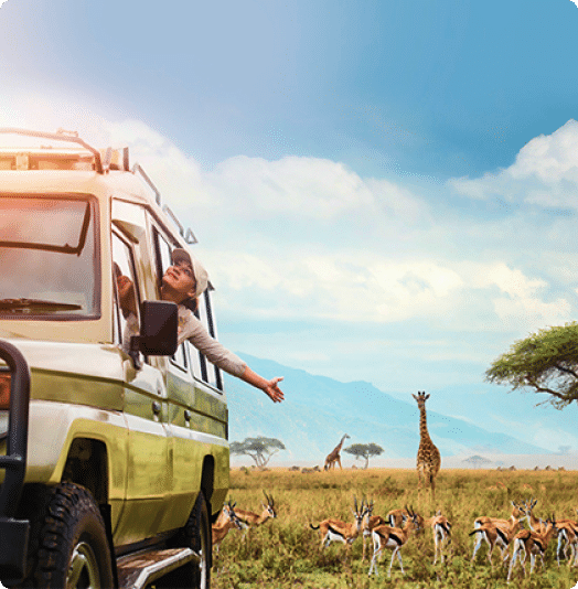 Premium Adventure Excursions