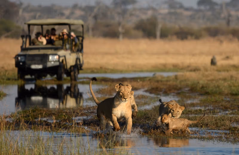 How Long Should You Spend in the Serengeti? 1 Private Game Drives