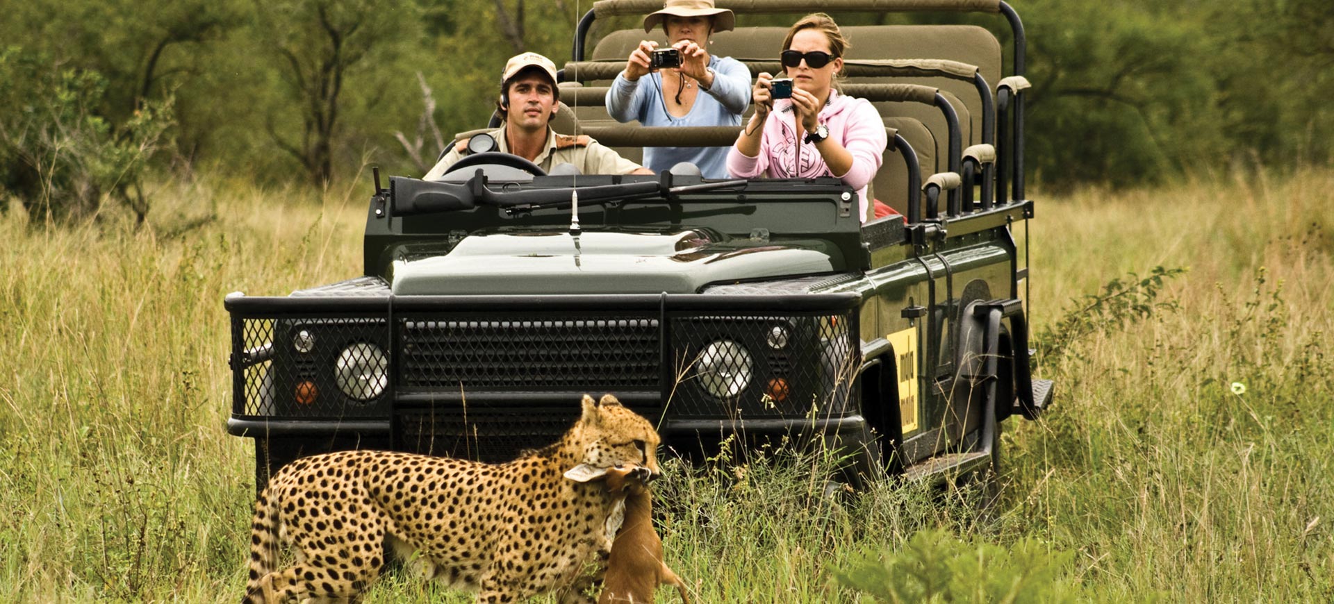 Safari Game Drives