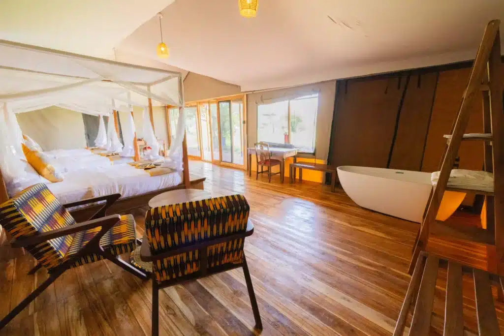 Safari Haven Migration Camp 4