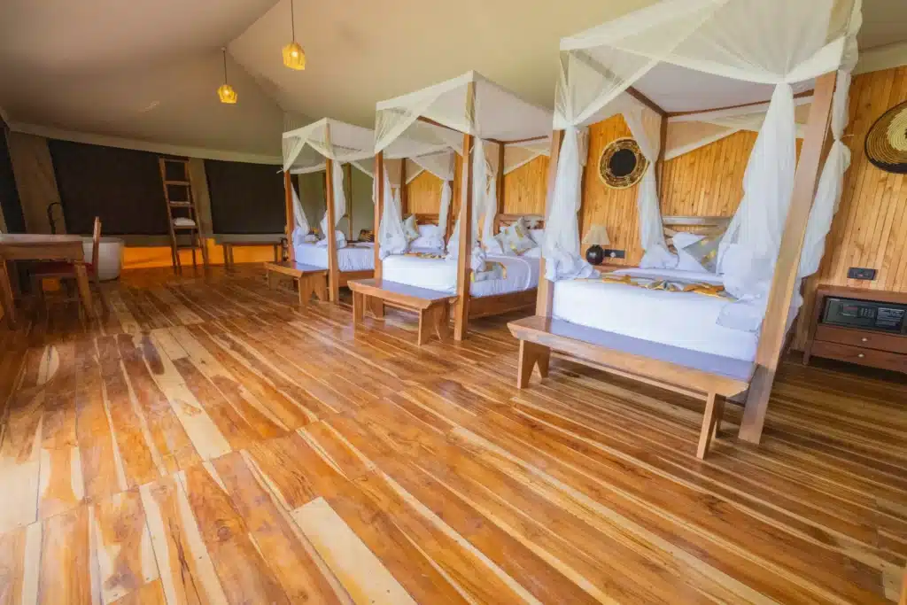 Safari Haven Migration Camp 6