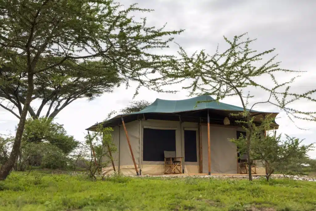 Safari Haven Migration Camp 7