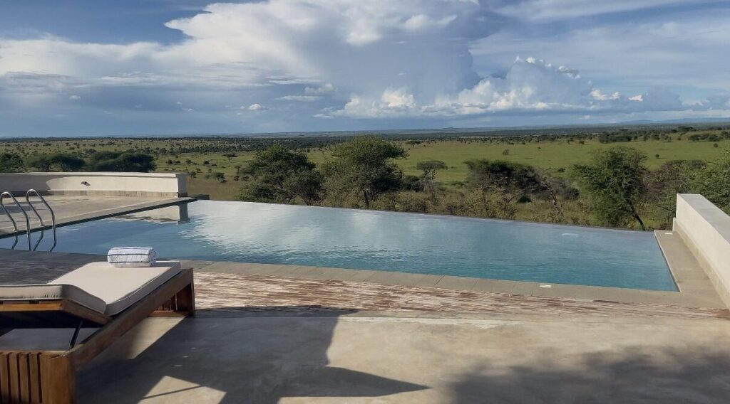 Salinero Serengeti 3