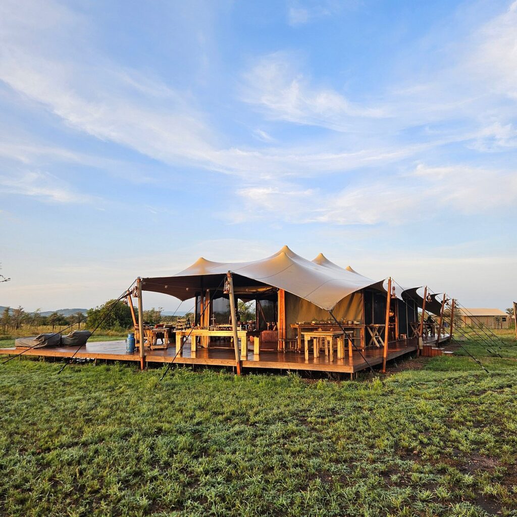 Tamu Tamu Serengeti – Mid-Range Tented Camp in Central Serengeti, Tanzania