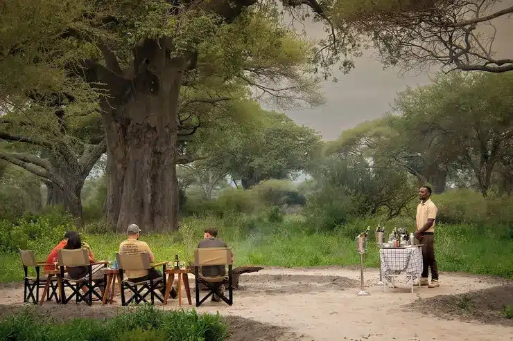 Serengeti + Tarangire: The Perfect Tanzania Safari Combination
