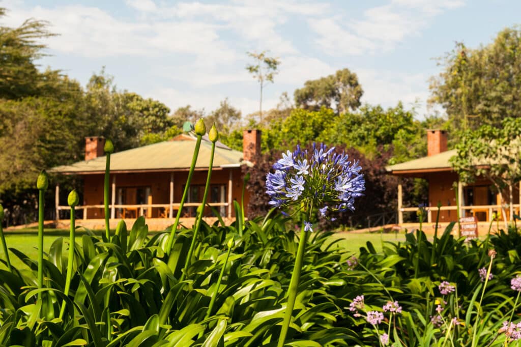Tloma Lodge 6