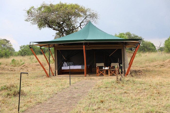 Untamed Migration – Mid-Range Migration Camp in Ndutu, Tanzania