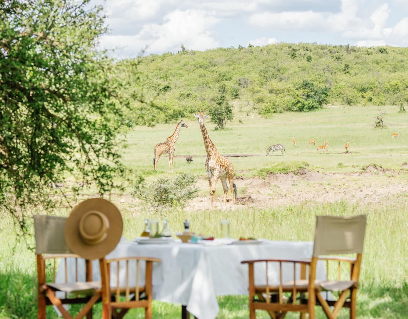 Wilderness Bush Dining
