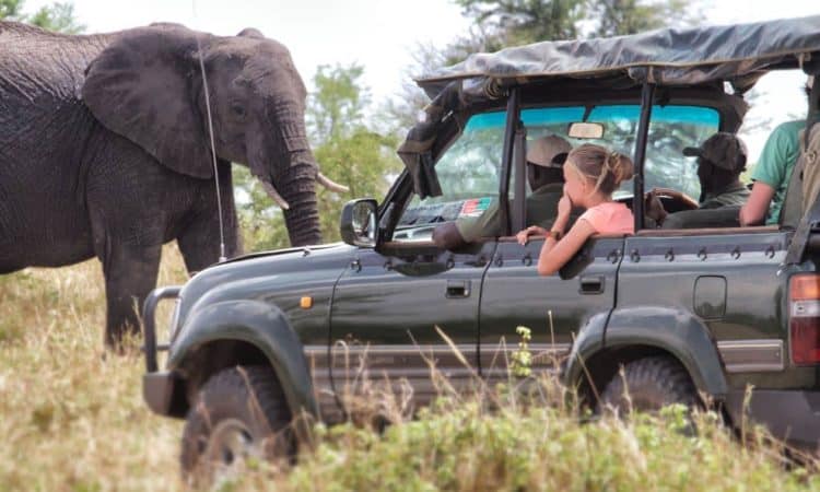 Wildlife Safaris and Game Drives
