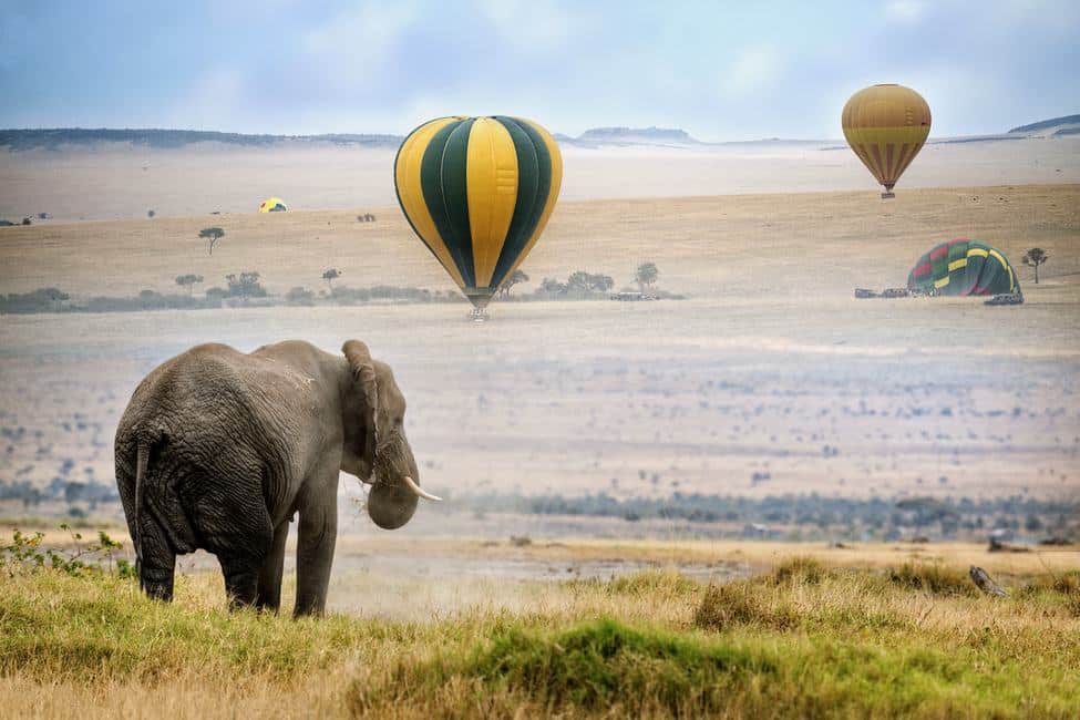 Hot Air Balloon Safaris