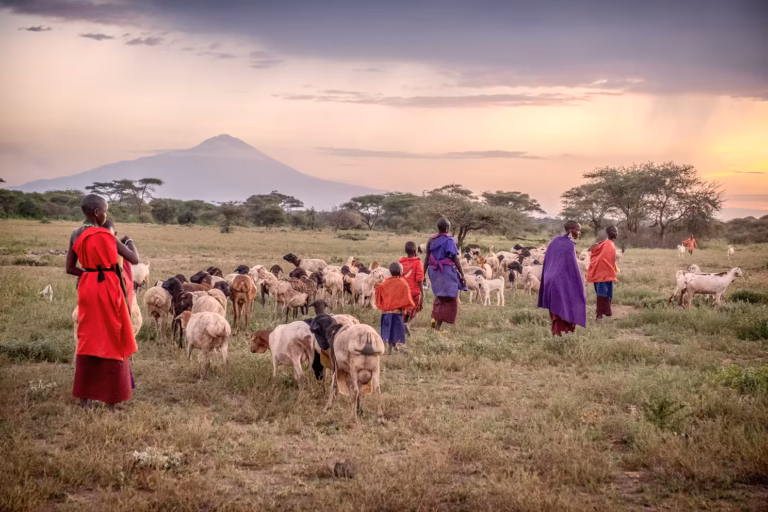 Safari and Cultural Village Experiences Combined