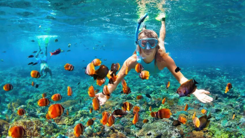 Lake Tanganyika Snorkelling