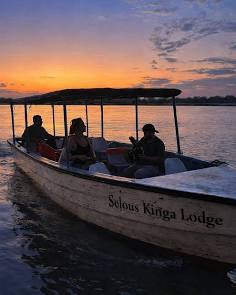 Boat Safaris