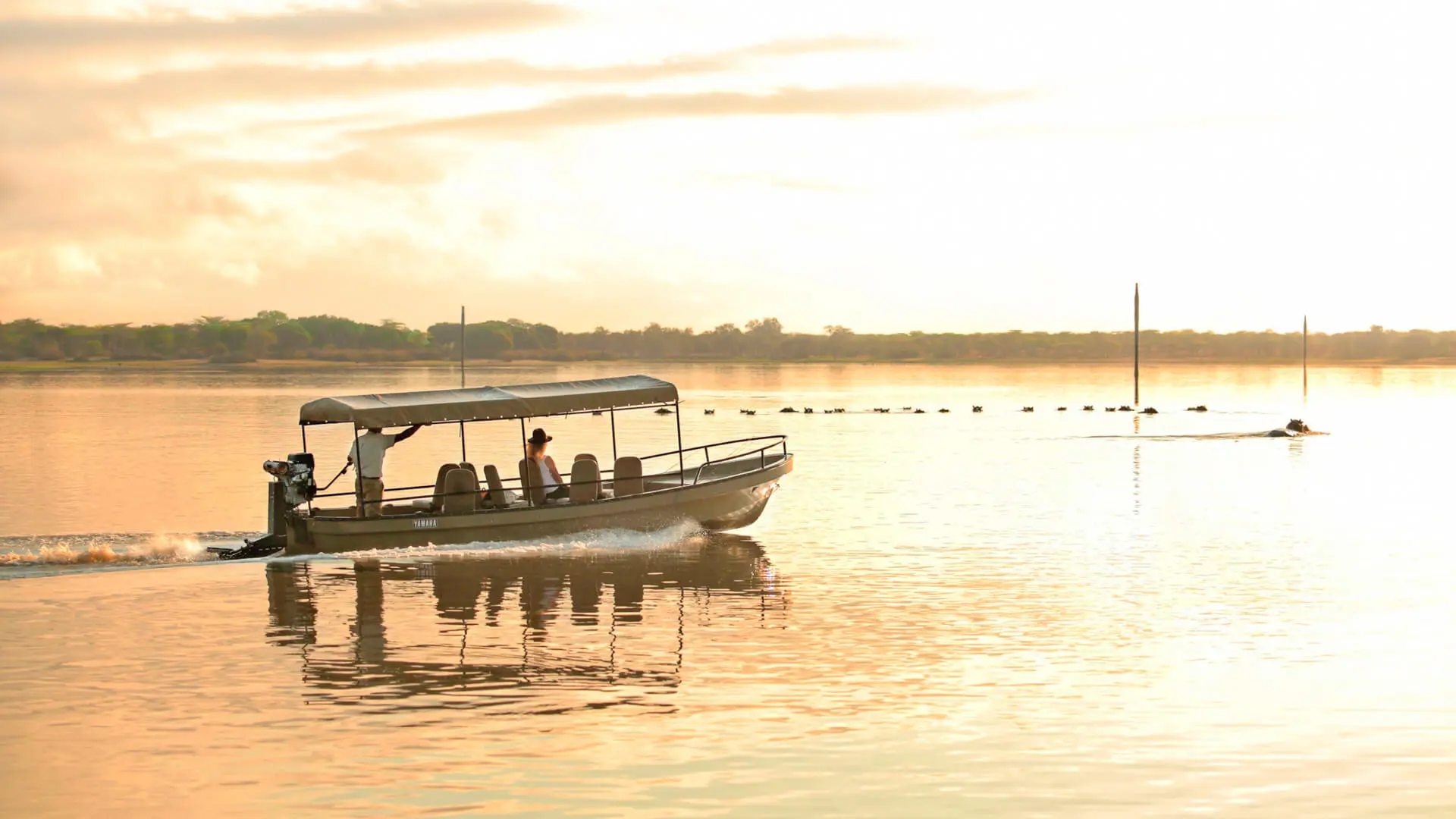 Boat safaris