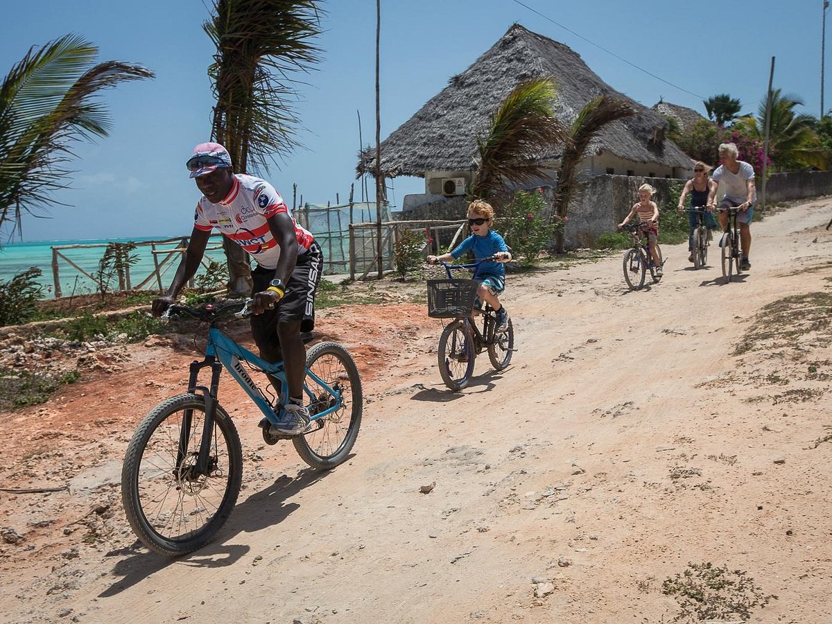 Cycling and Mountain Biking