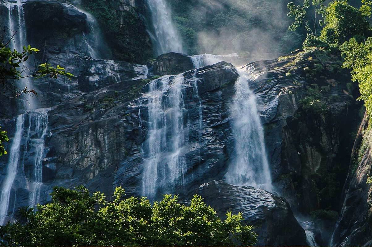 Day Excursions to Udzungwa Mountains National Park