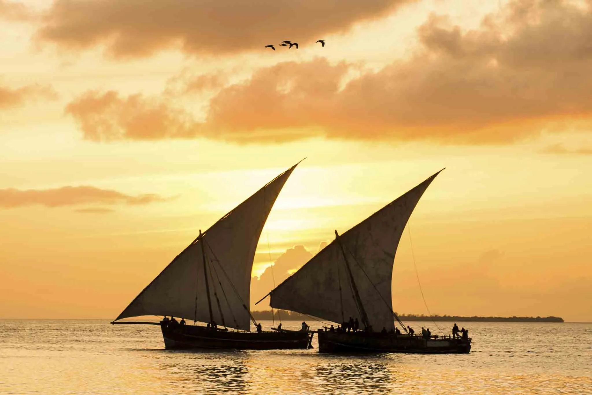 Dhow boat excursions