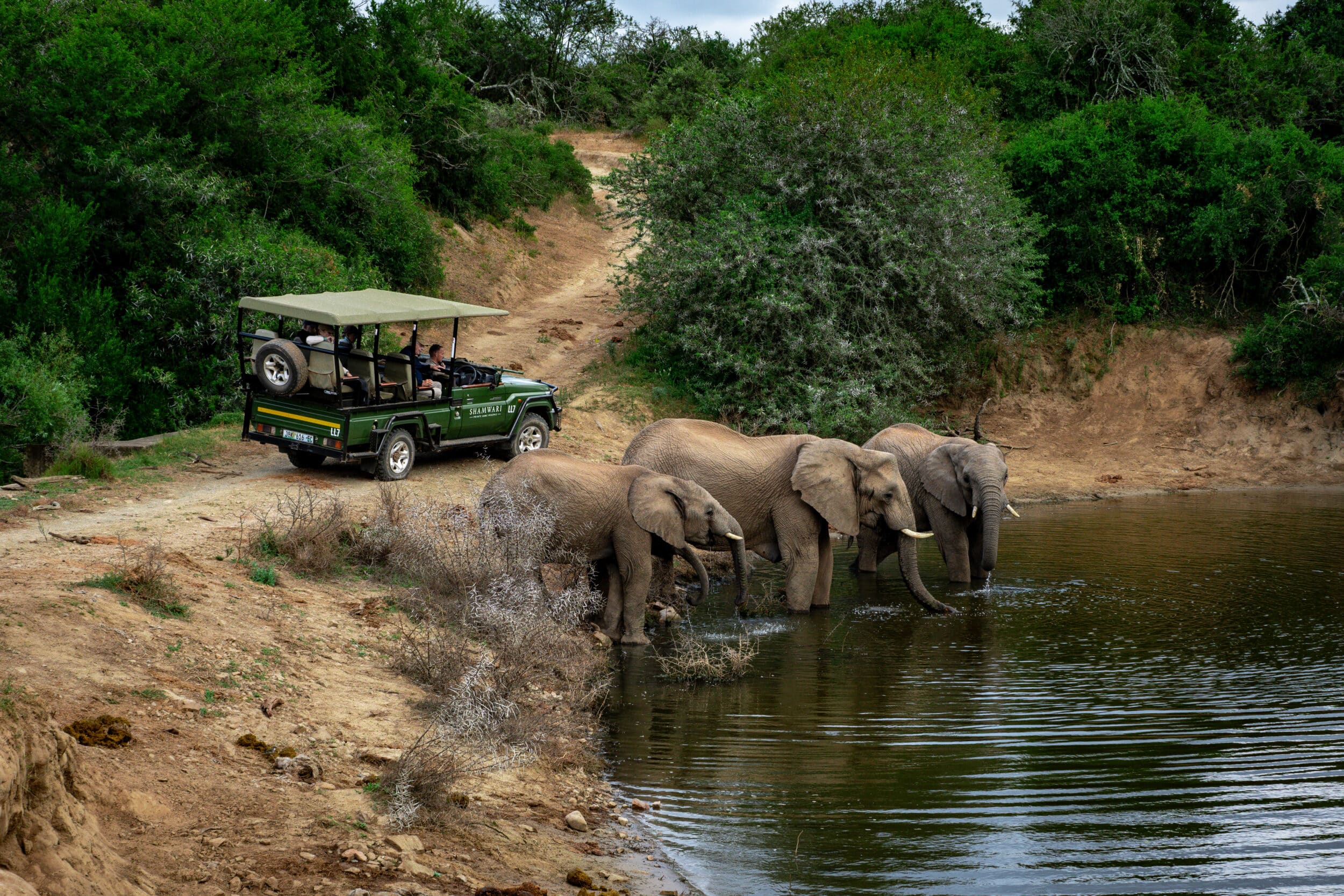 Game drives