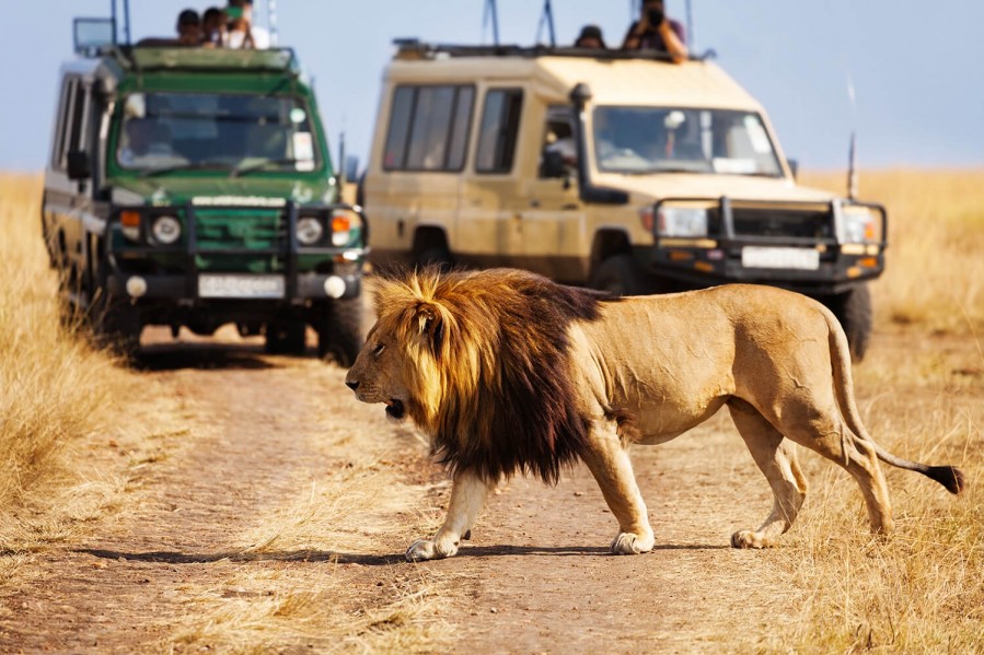 Game drives