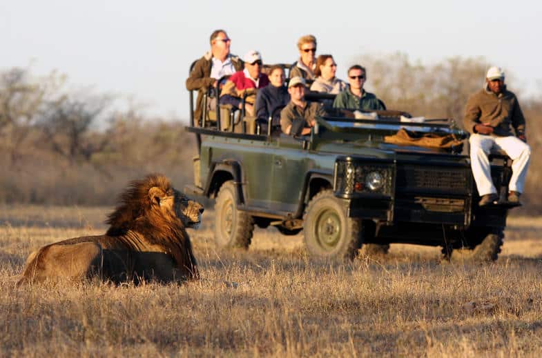 Game drives