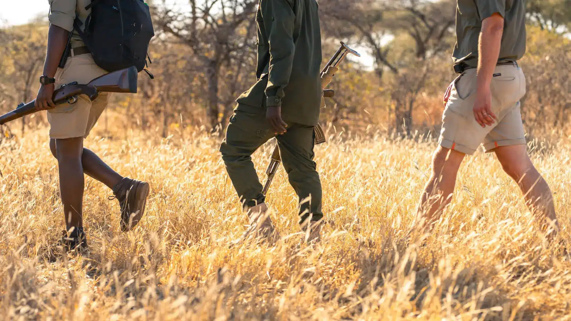 Guided Walking Safaris