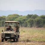game drives