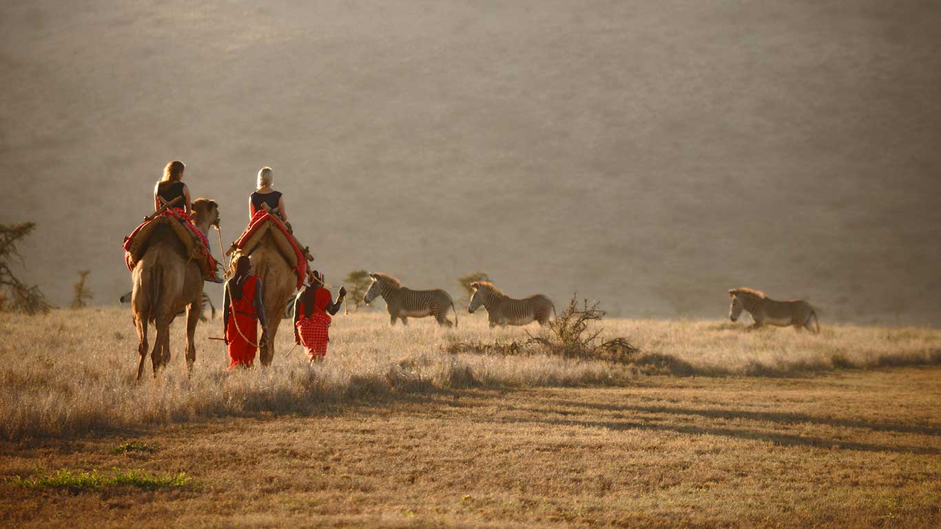 Camel riding