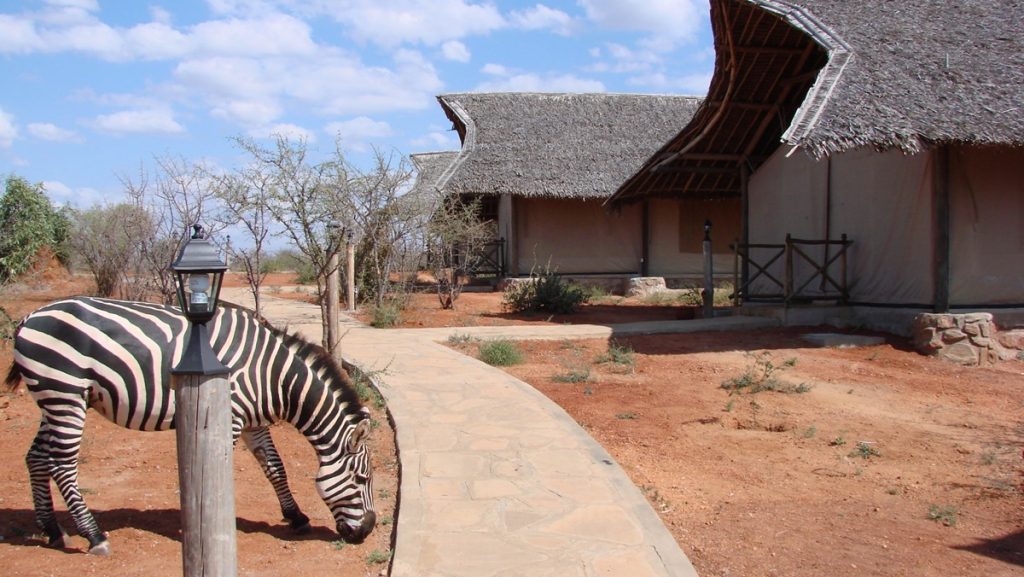 Man Eaters Camp – Luxury in Tsavo, Kenya
