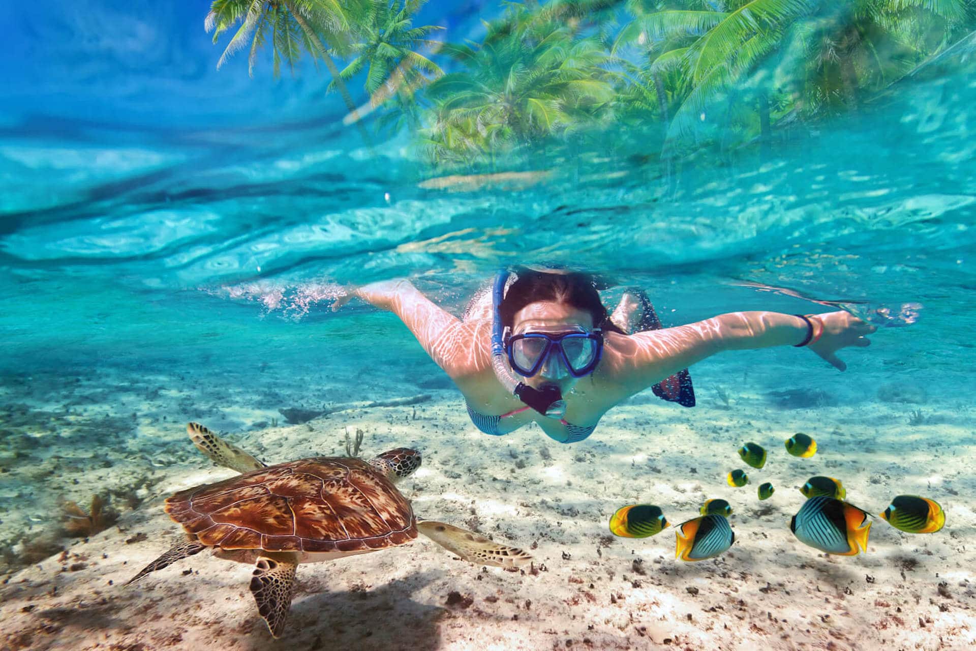 Mnemba Atoll Diving & Snorkeling