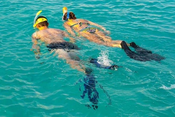 Mnemba Island Snorkeling