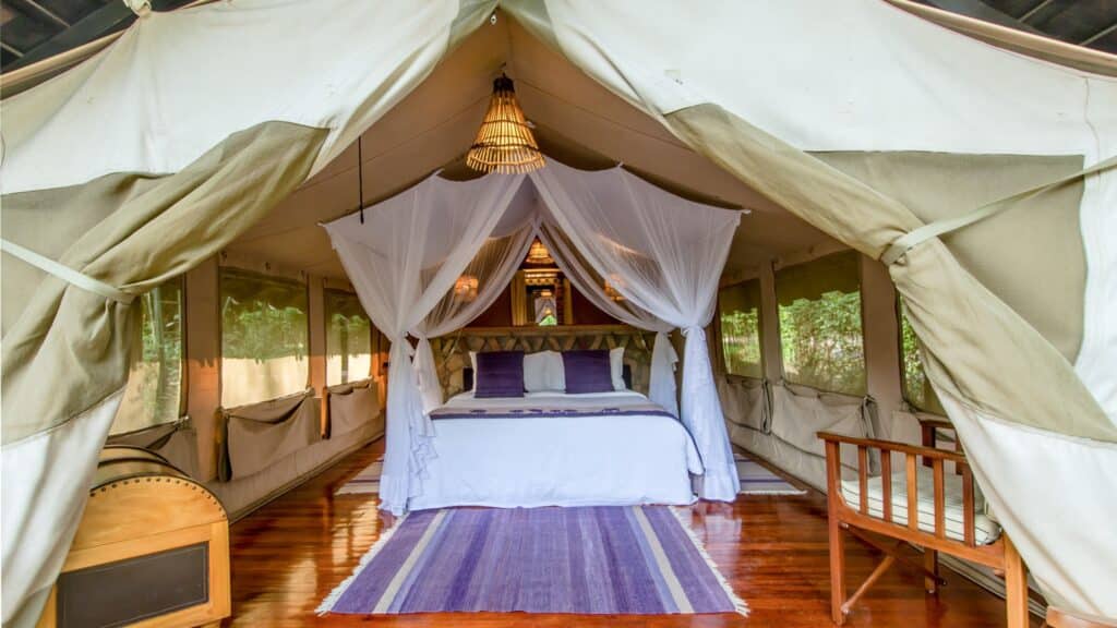 Sarova Mara Game Camp – Luxury Safari Camp in Maasai Mara, Kenya