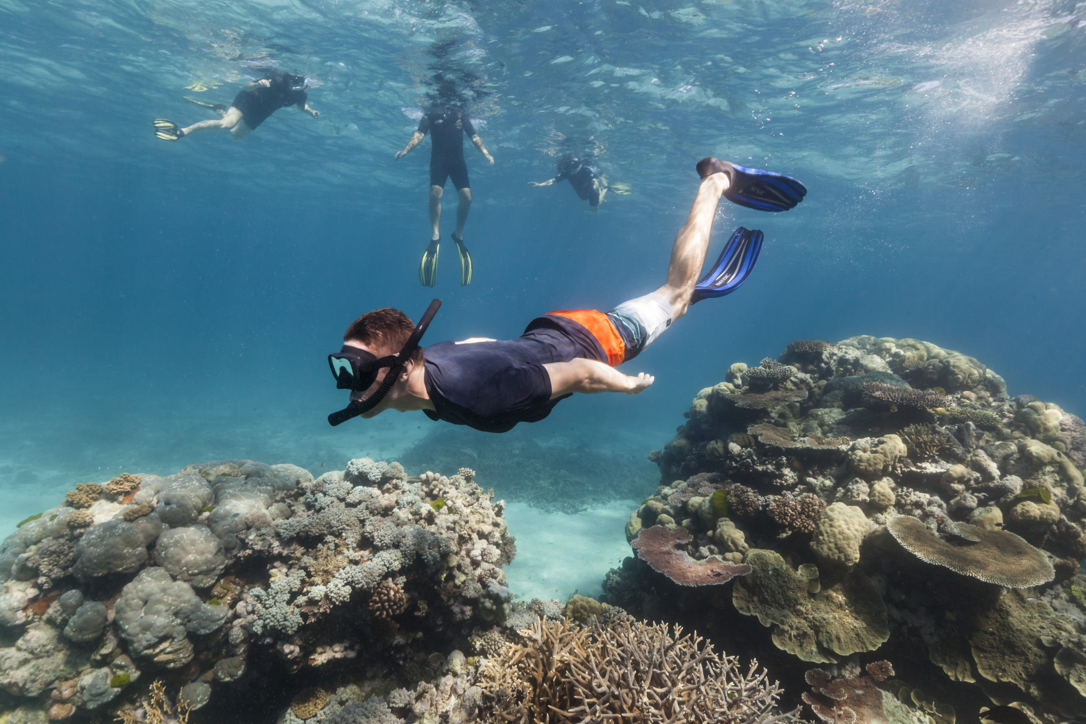Reef diving in Zanzibar