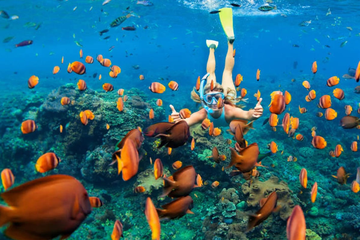 Coral reef at Manda Toto near Lamu