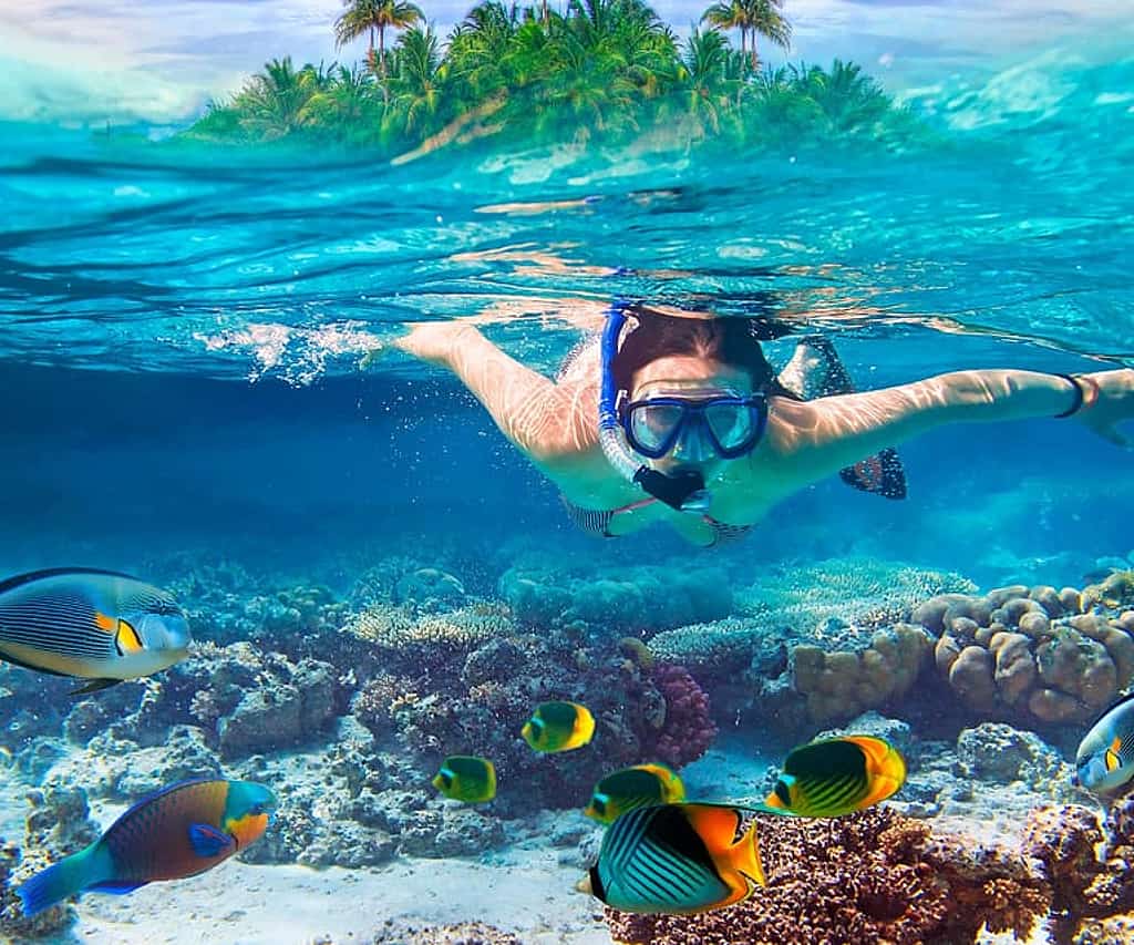 Snorkelling and coral reefs excursions