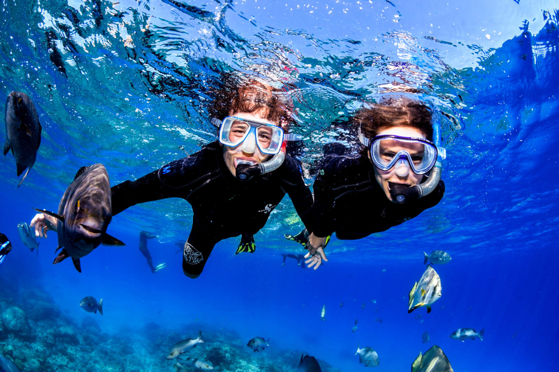 Snorkelling and diving day trip