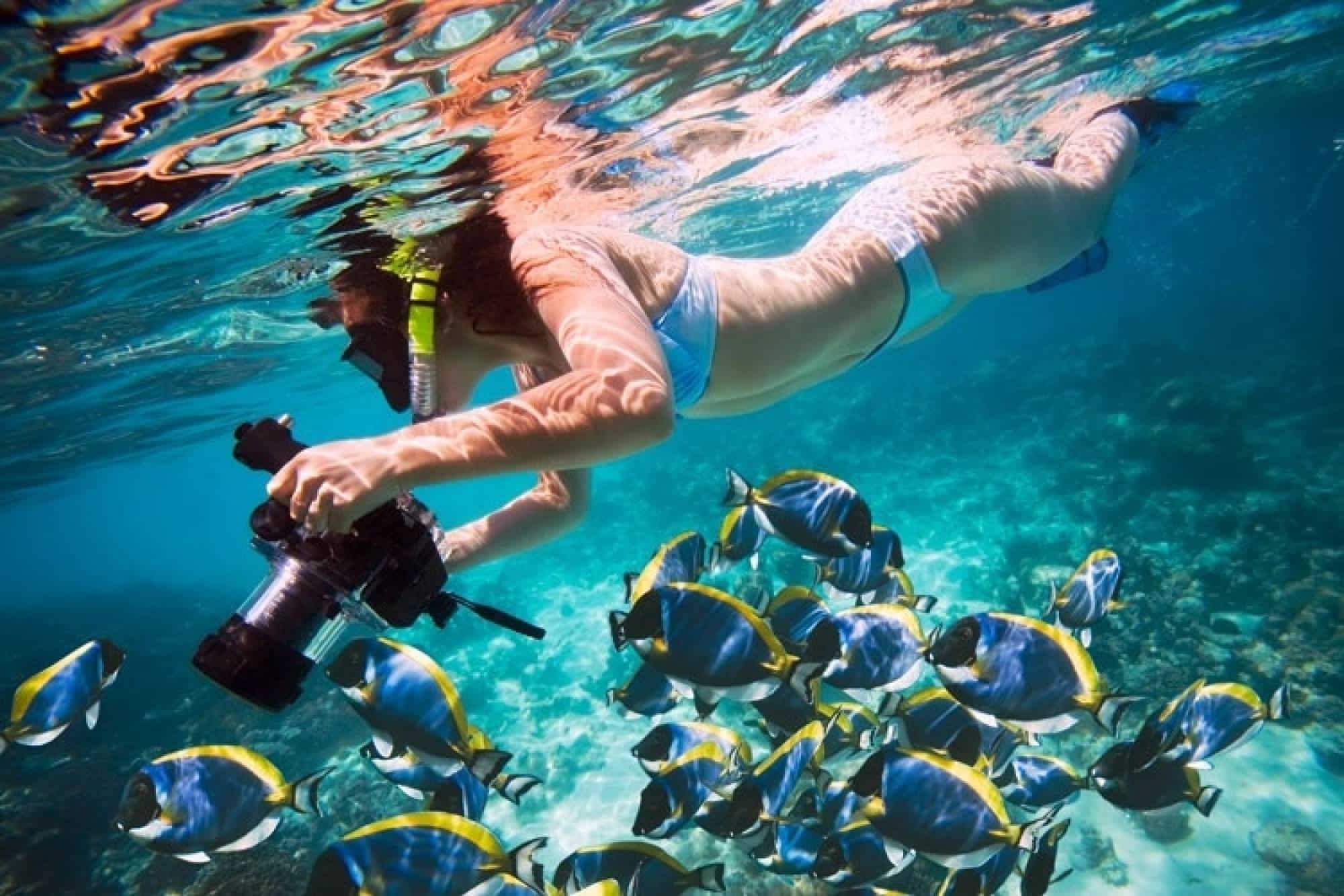 Kisite Mpunguti Snorkelling Trip