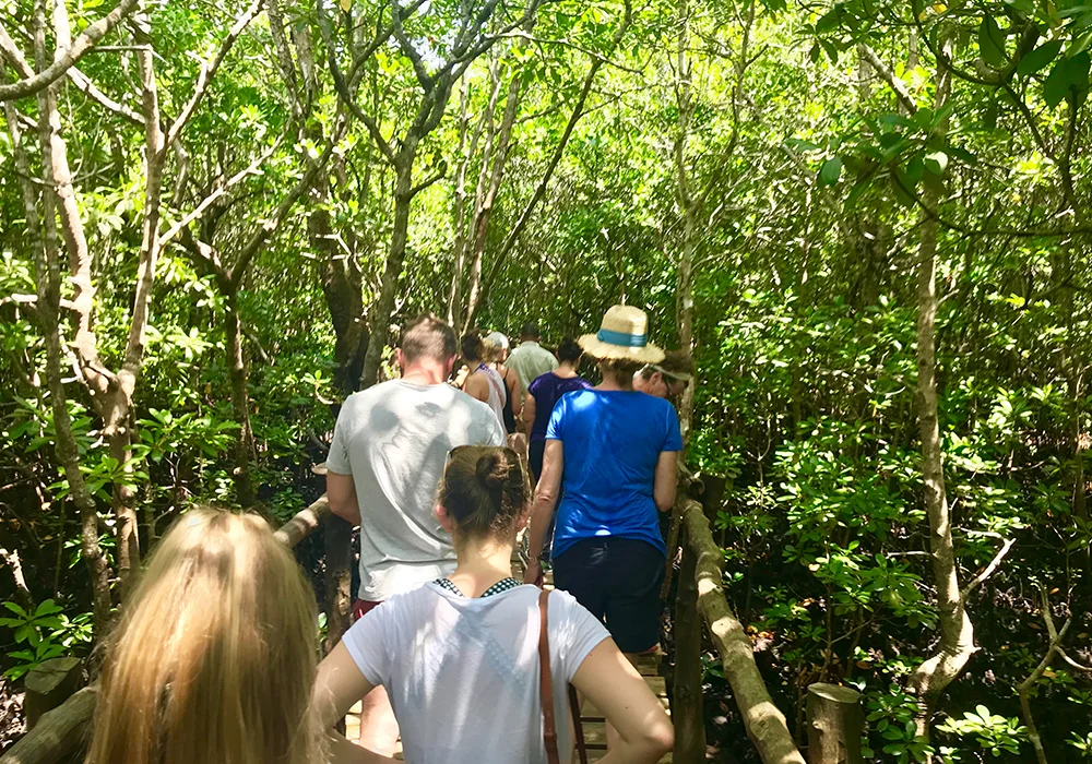Village walks and nature trails