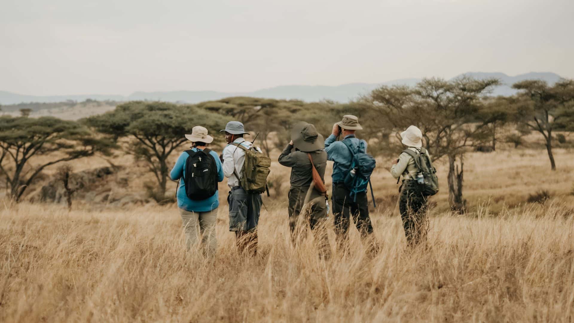 Walking safaris