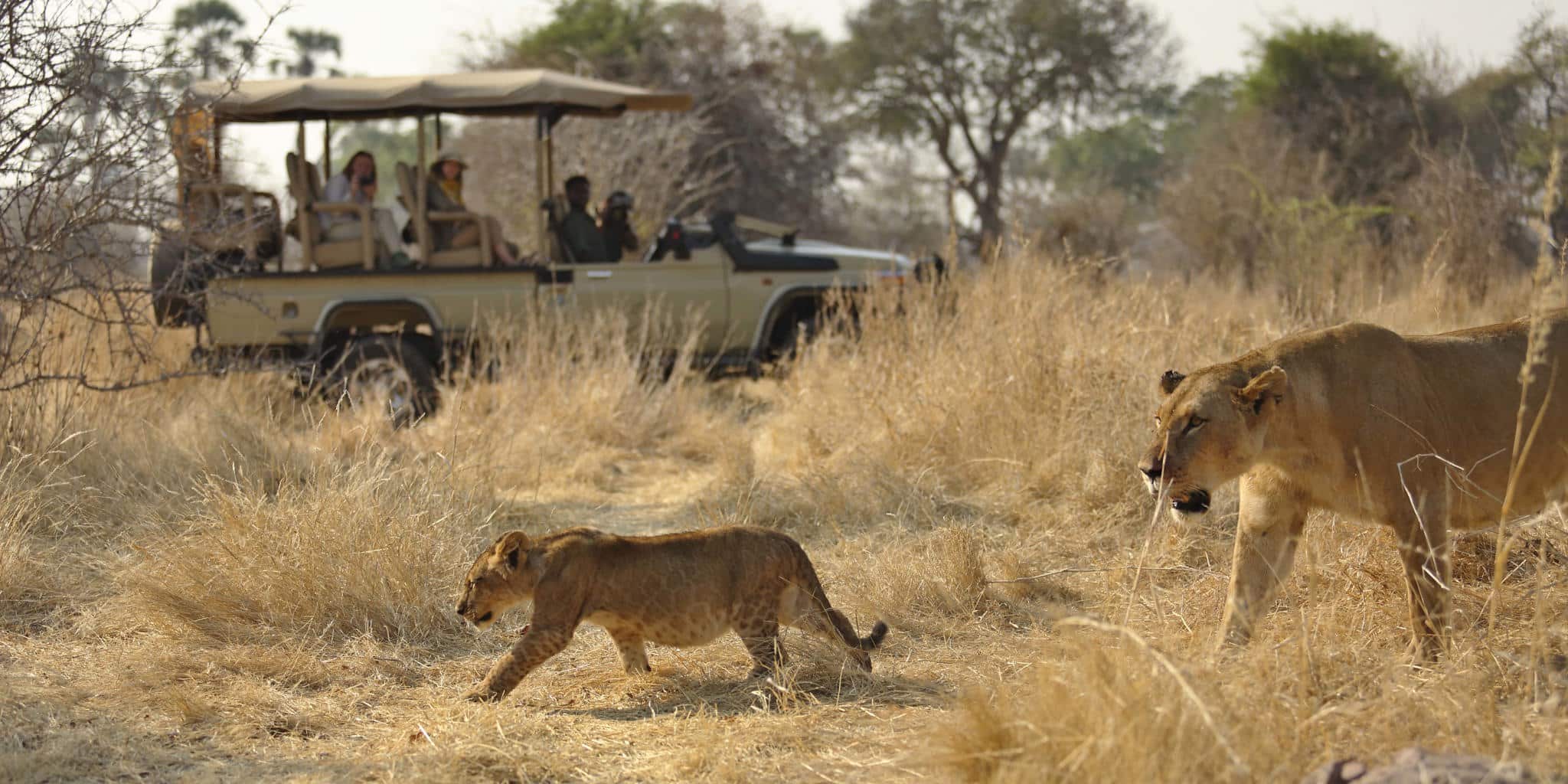 Game drives