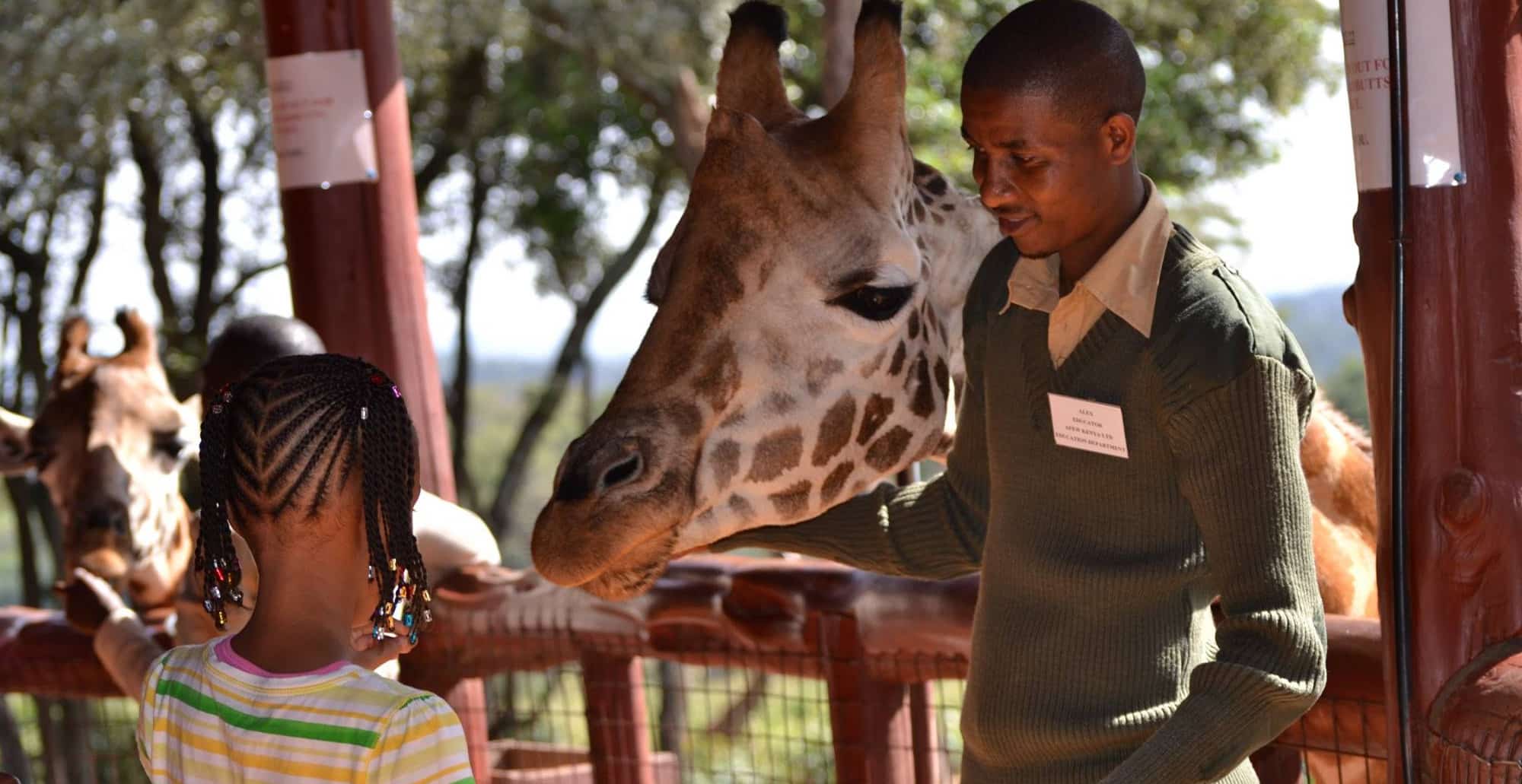 Giraffe Centre visit