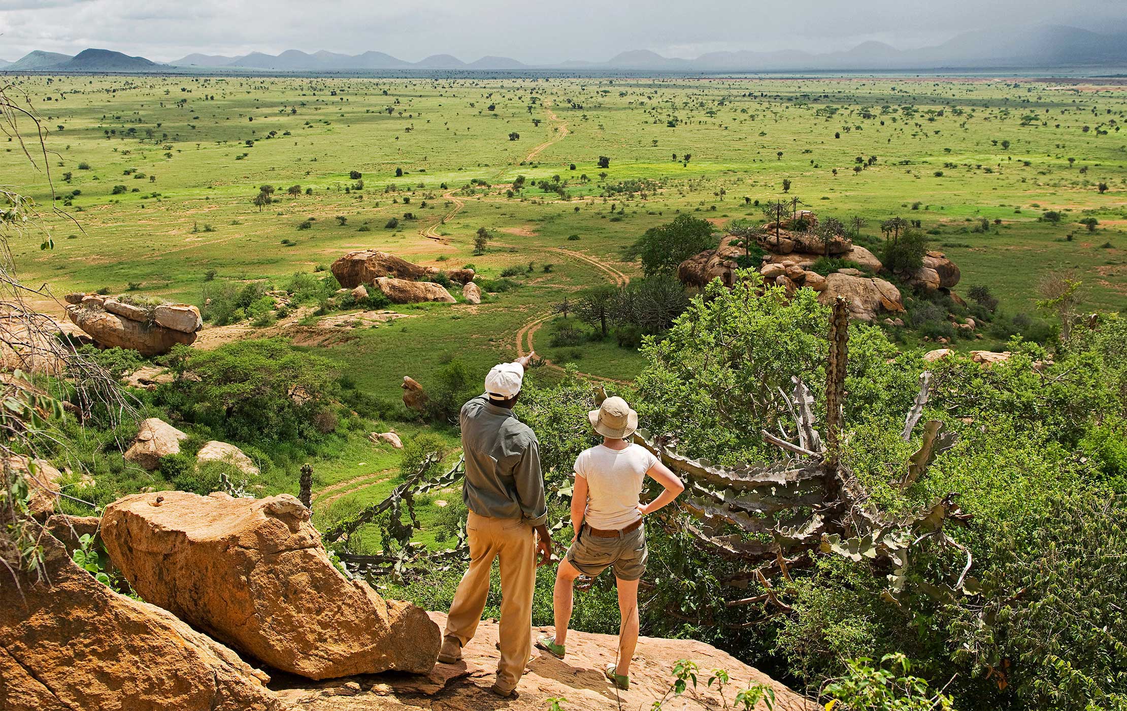 Guided walking safari
