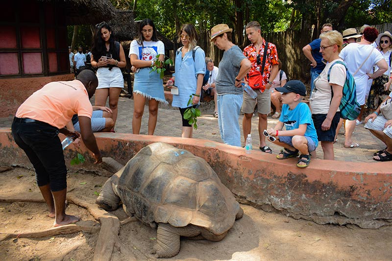Prison island tours