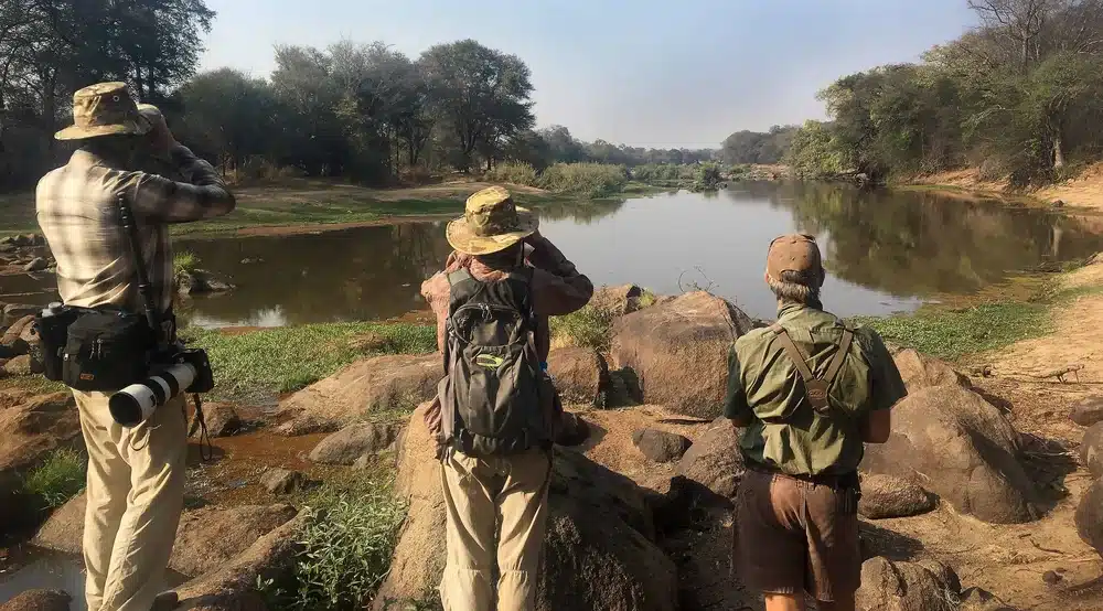 Walking Safaris