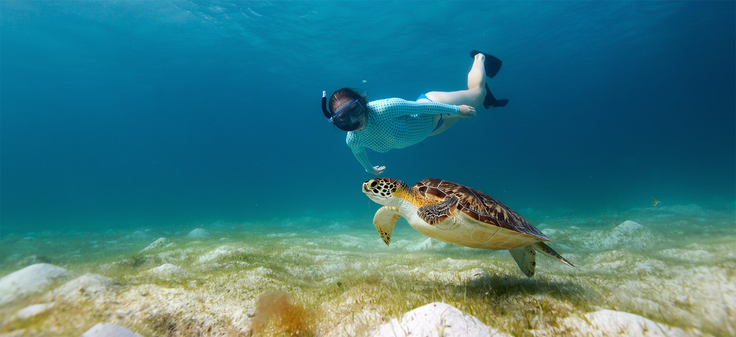 Snorkelling