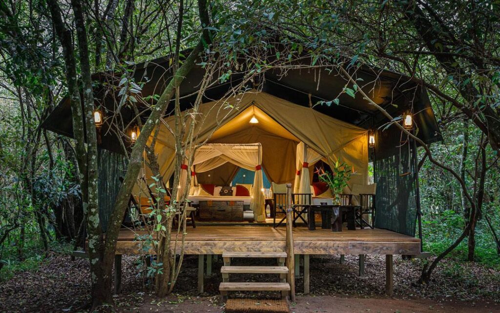 Soroi Amboseli Camp – Luxury in Amboseli, Kenya